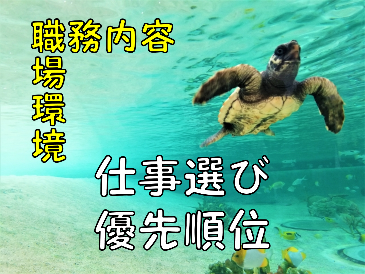 仕事選びに求める優先順位 職場環境 職務内容 あと一つは 就労移行支援メンバーの記事 就労 自立支援ひらく